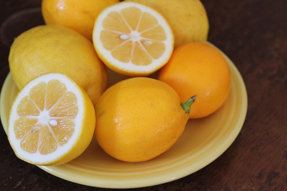 Lemon curd lemons 2
