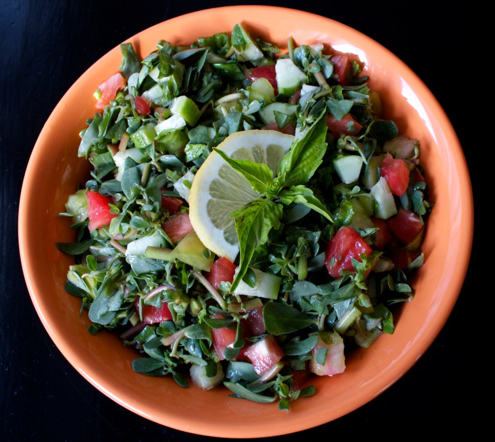 Purslane Salad